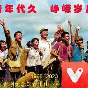 冯晓红