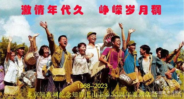 冯晓红