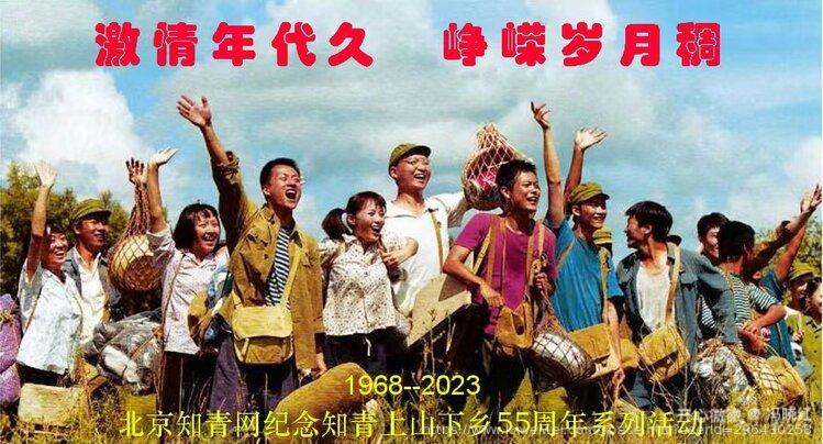 冯晓红